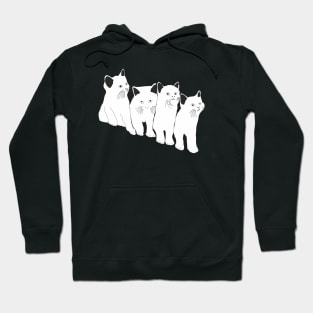 Funny Cats and Kittens Hoodie